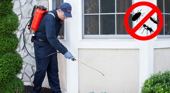 Helvacı Akrep İlaçlama böcek ilaçlama ve haşere kontrolü — ilaclama-tr.com